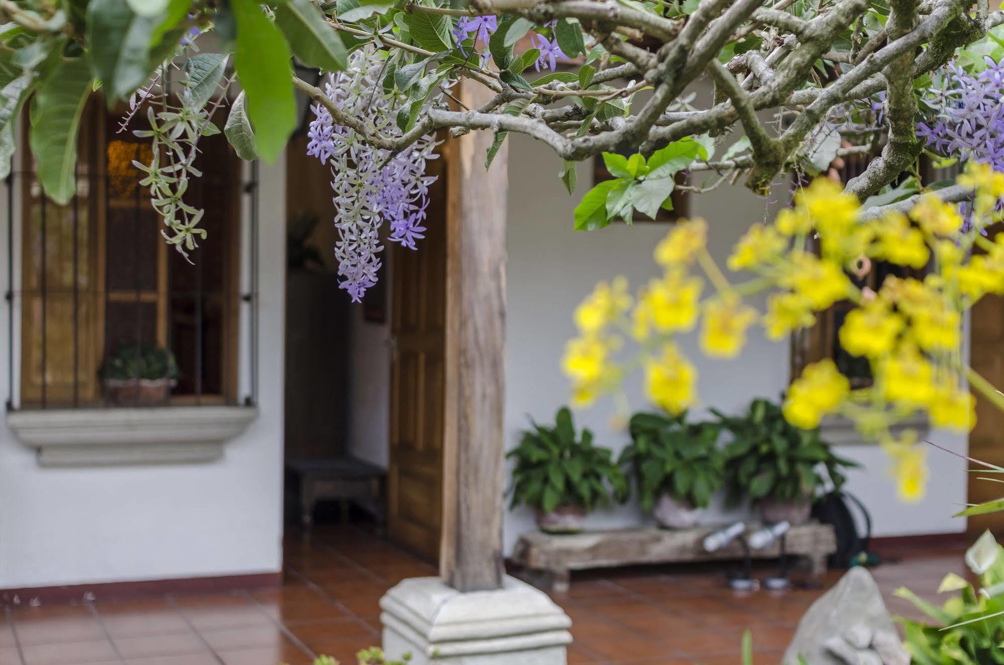 Hostal San Nicolas Antigua Extérieur photo